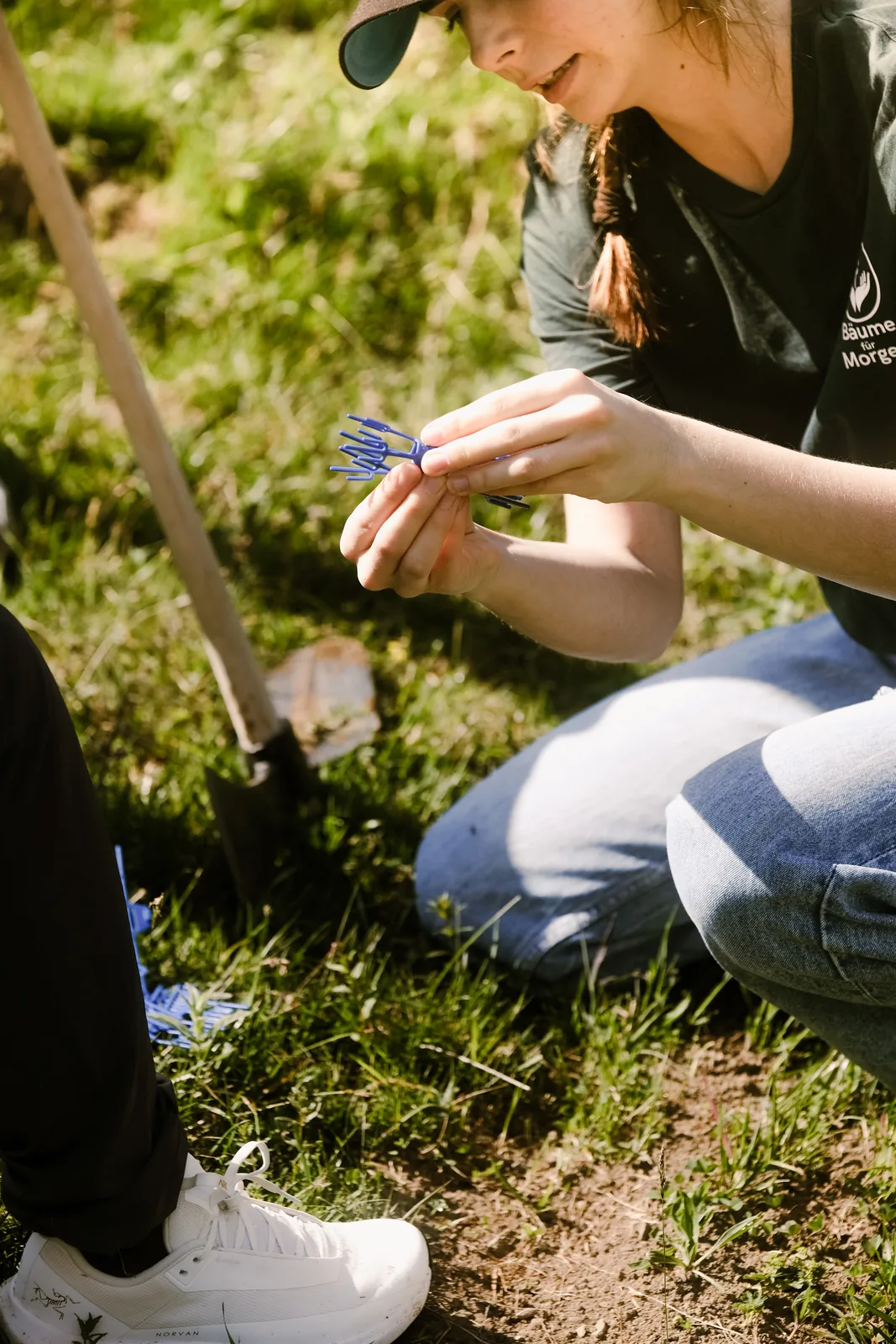 Hände setzen mit einem Pflanzspaten einen Setzling in die Erde